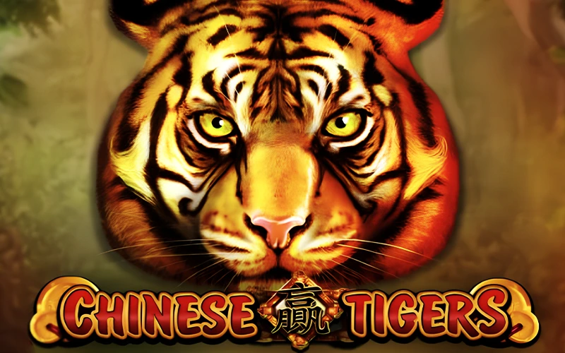 Vis l’émotion avec Chinese Tigers sur Melbet.
