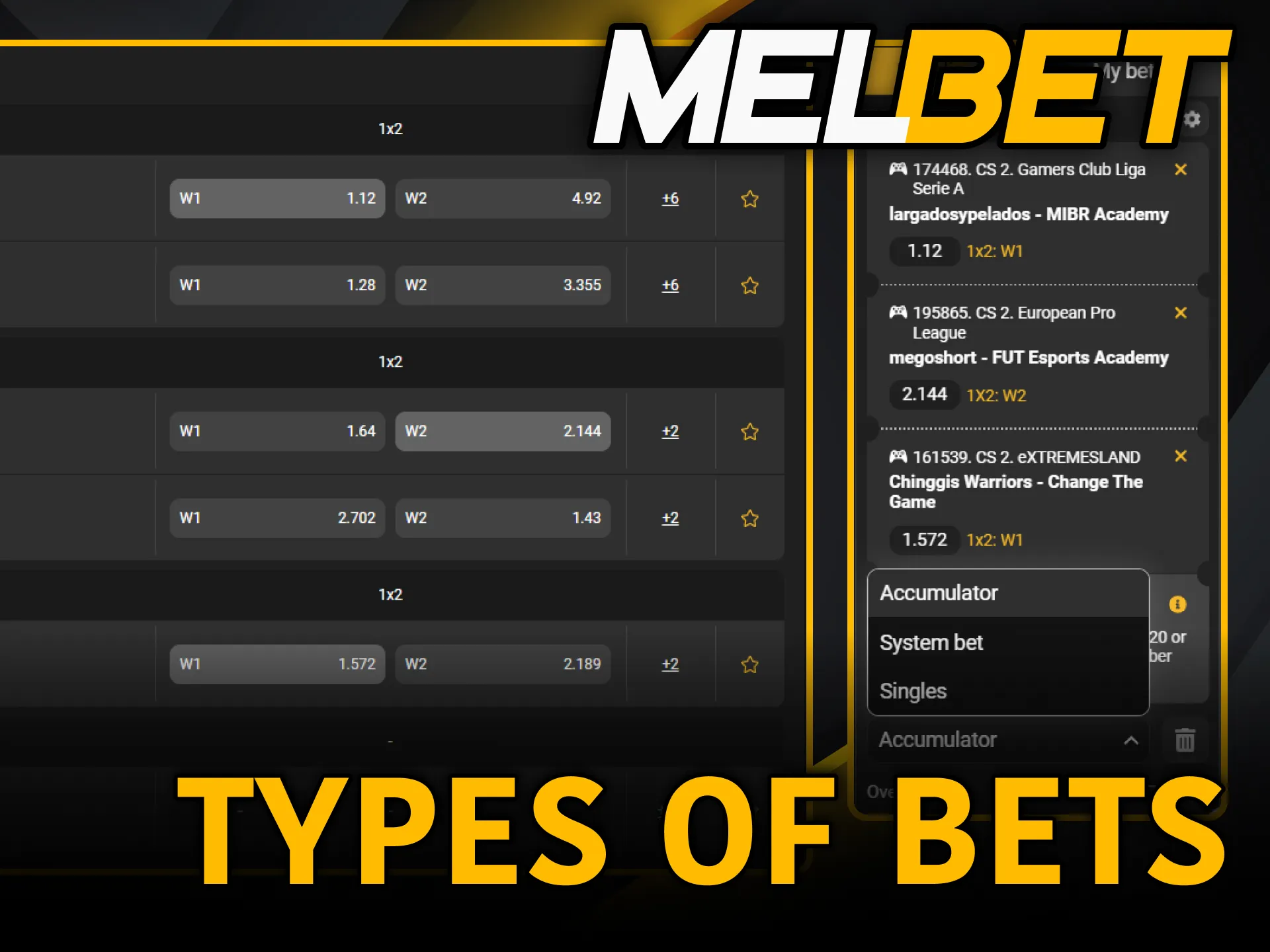 Choose flexible wagering options on Melbet for varied esports markets.